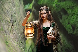 Banner Nachschwoab der Mystischen Nacht